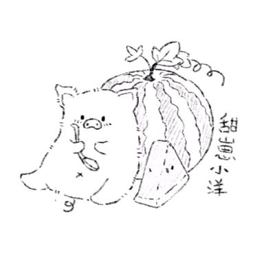 甜崽小洋.