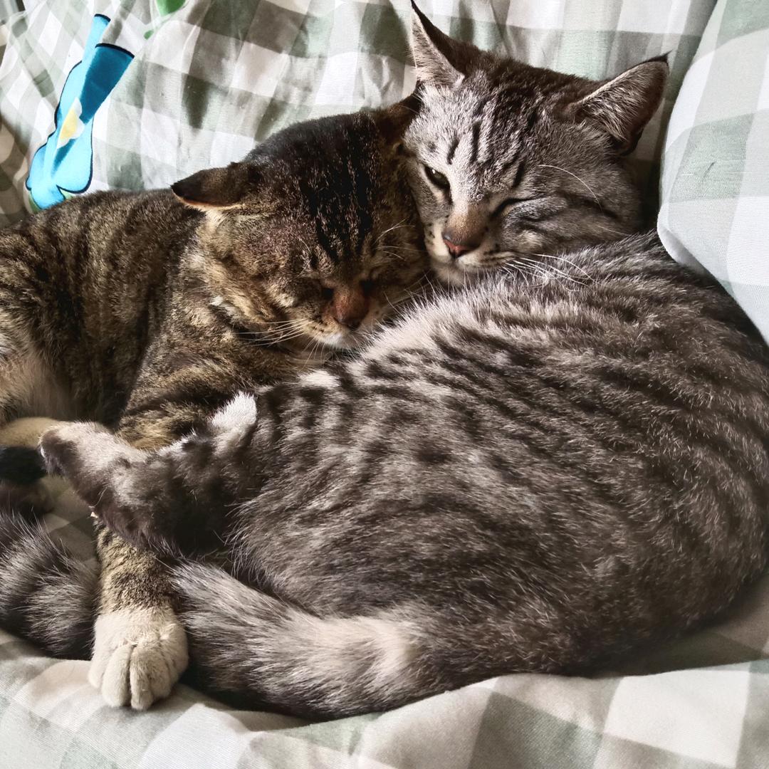 一切都会好起来的