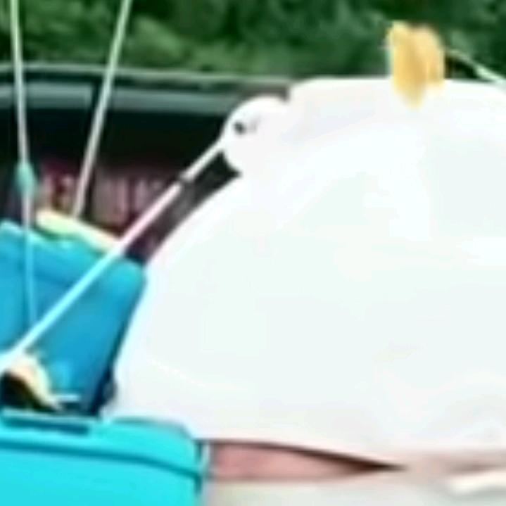心忠有话无处说