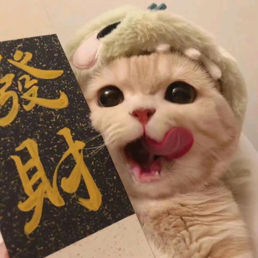 绿绿