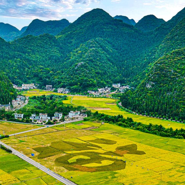 万峰百货