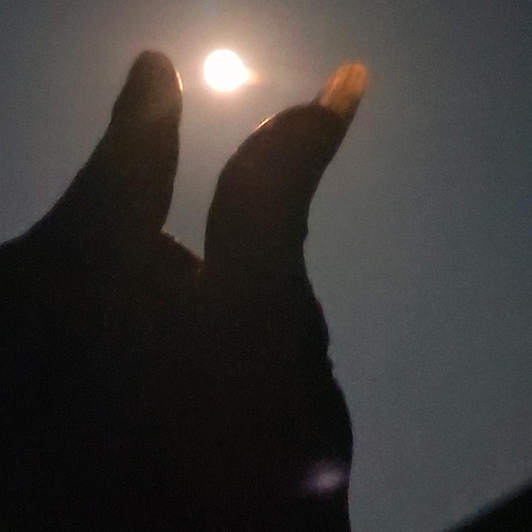 A8🎊💞💘过客💝💕💯