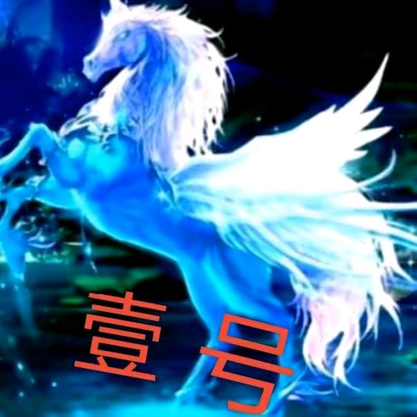 蕊儿小荷花