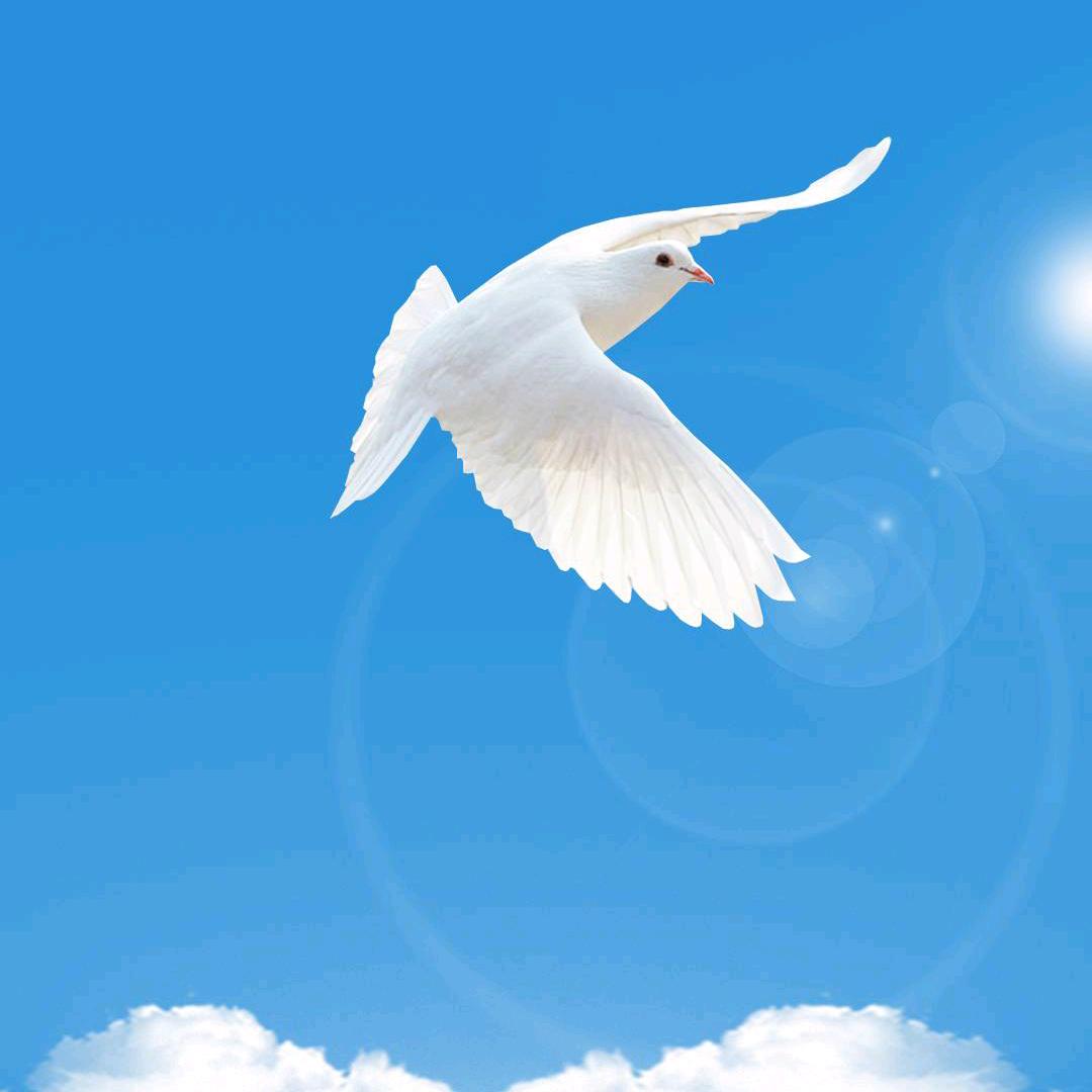 孟婆、来碗豆浆