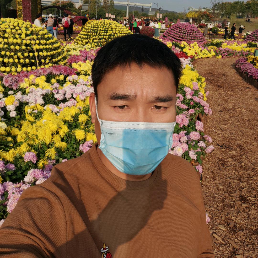 风华正茂