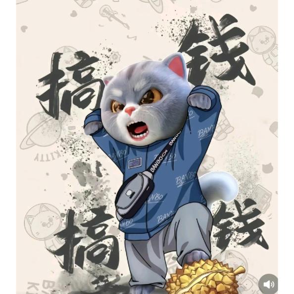 编制
