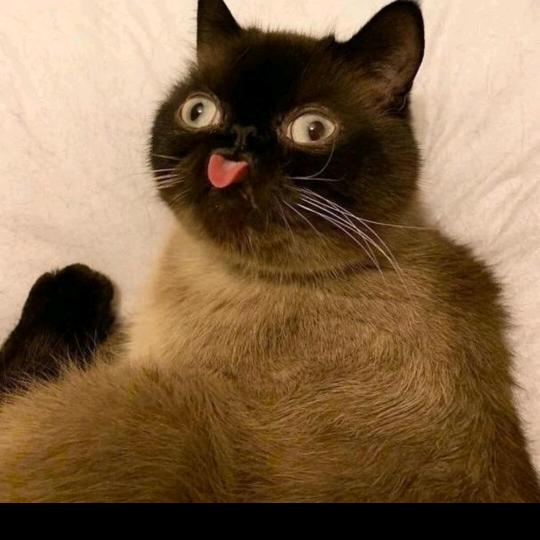～