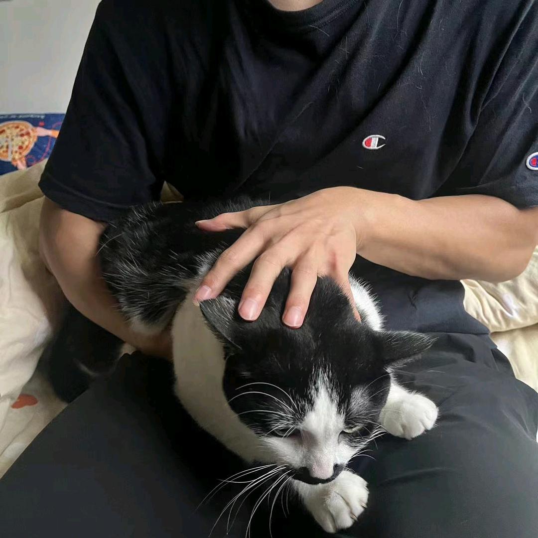 一介散修