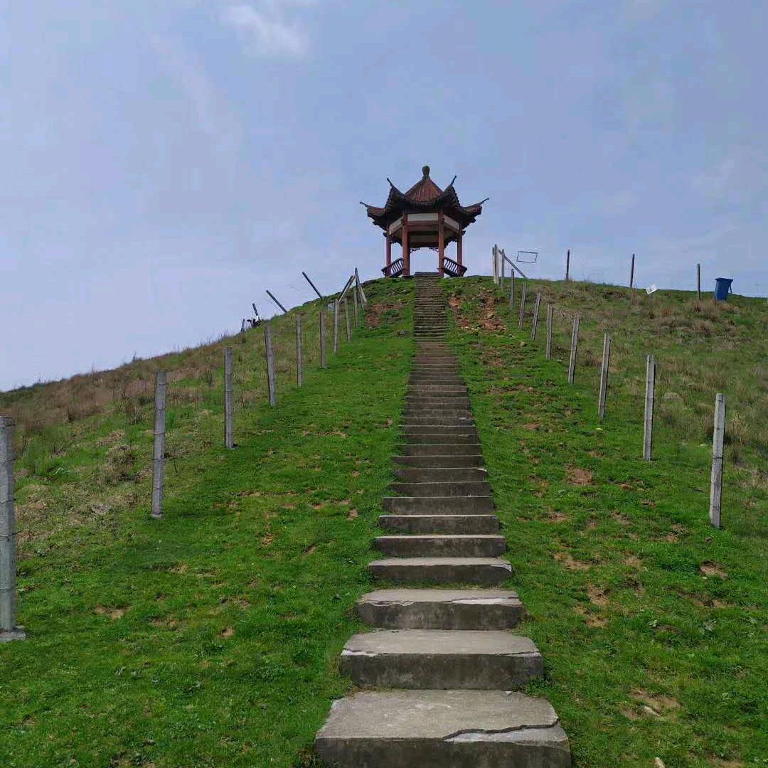 农村刘哥