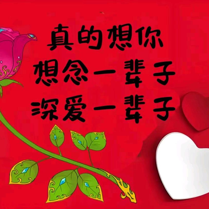 深圳蓉蓉