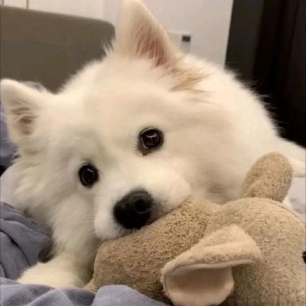 怎么开心怎么来