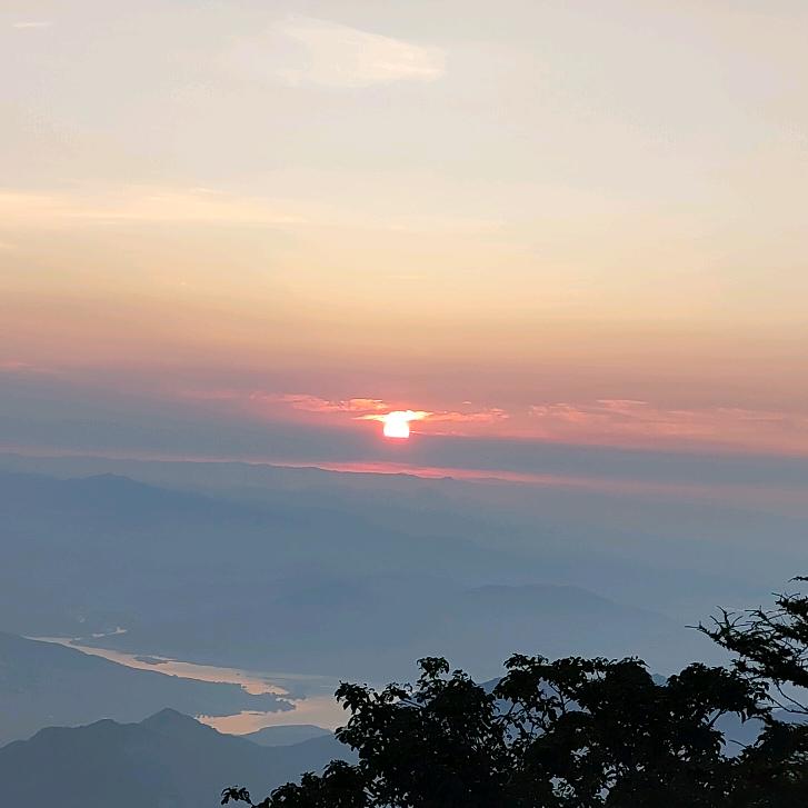 金元宝    元宝机