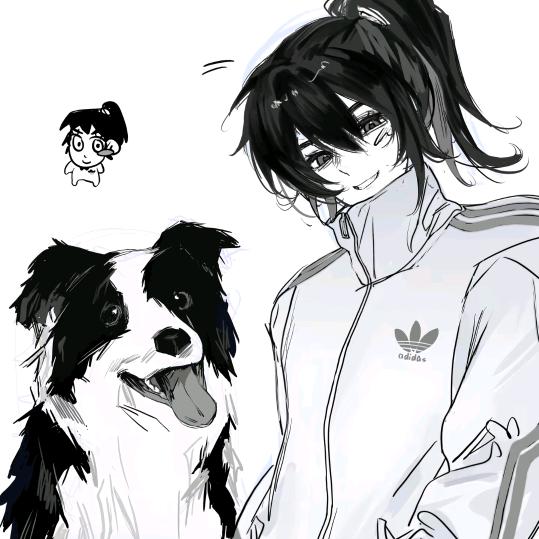 宇宙闪烁的大板牙