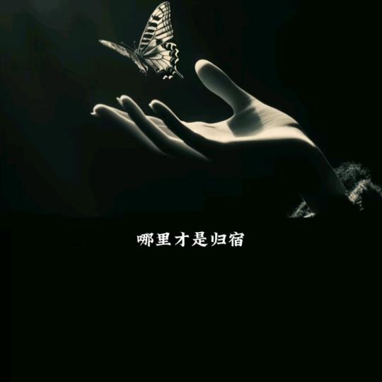 触摸不到