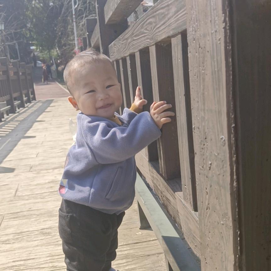 泽泽