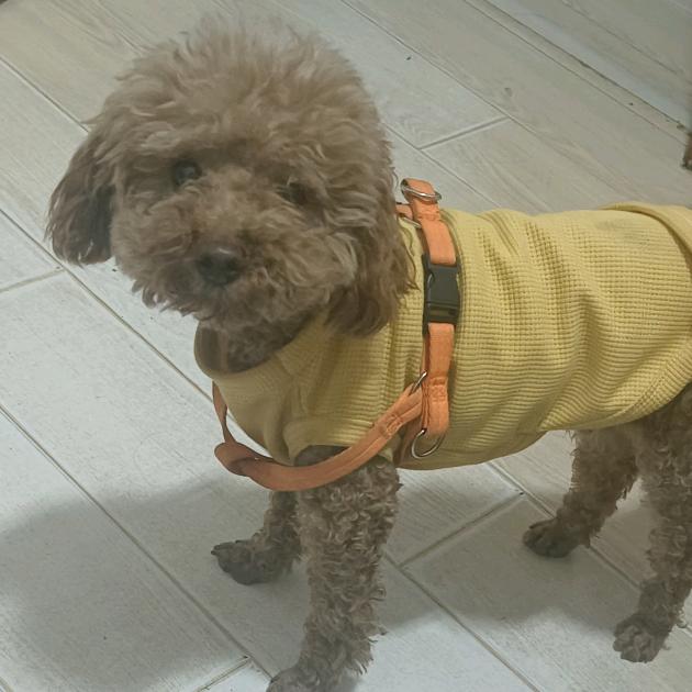 ❤️❤️莓烦恼💞💞