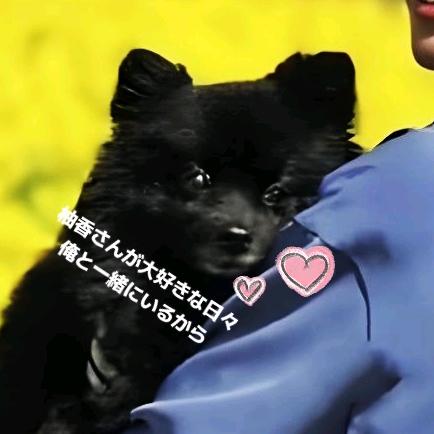 不撞南墙撞你胸膛