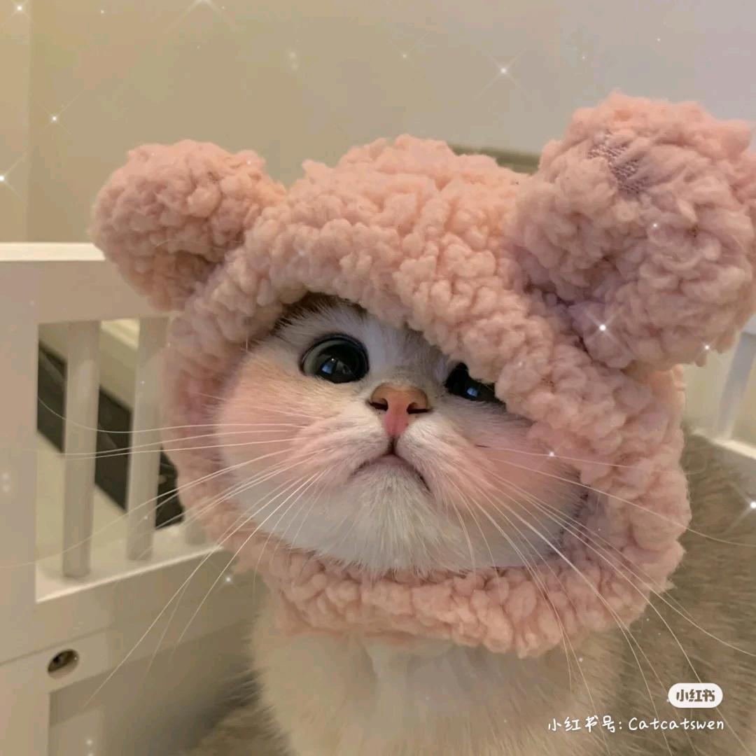 蓝莓棉花糖