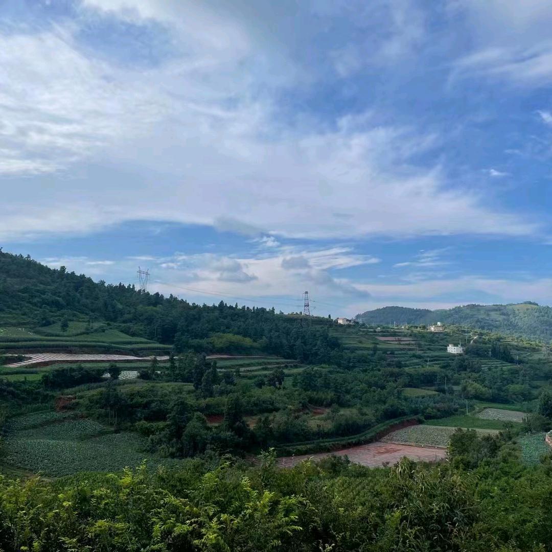 树林@