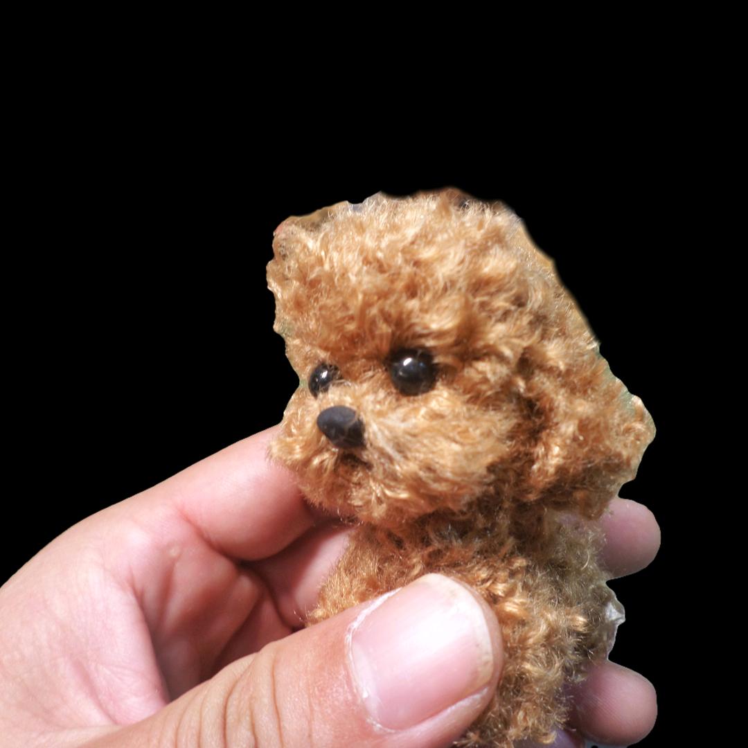 上校的金鱼铺