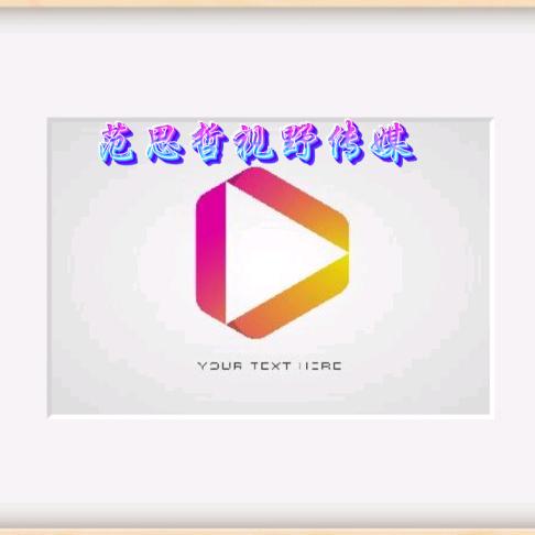 范思哲(视野传媒)369