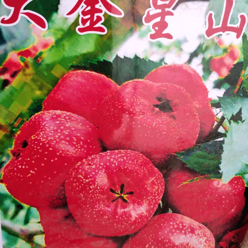 茂竹秀军