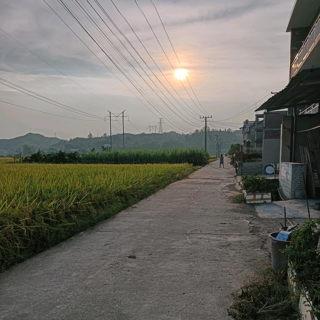 小肉球゜এ