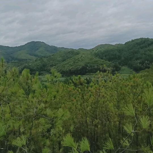 江西赣州海增矿山机械设备有限公司