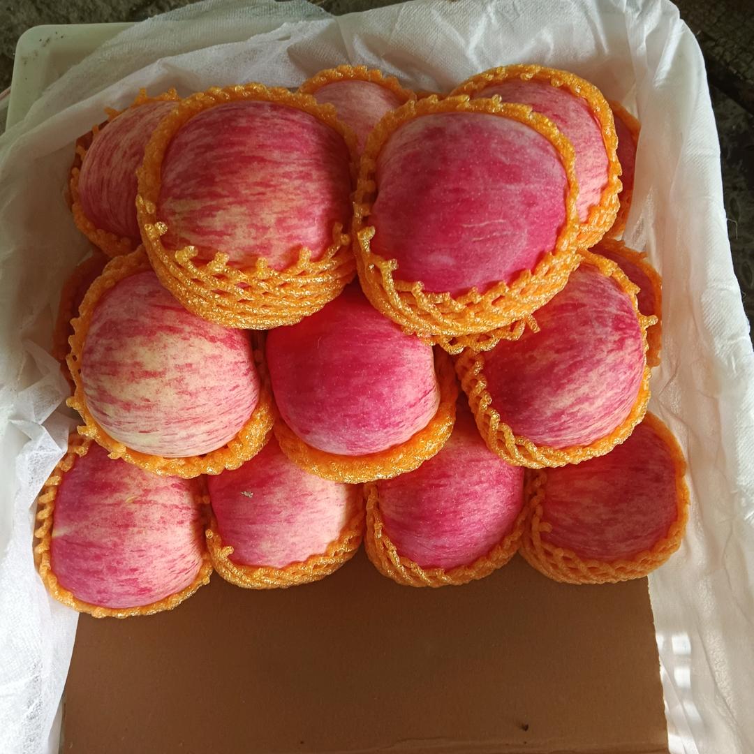 @孝感首衡城双盈果业刘成😊