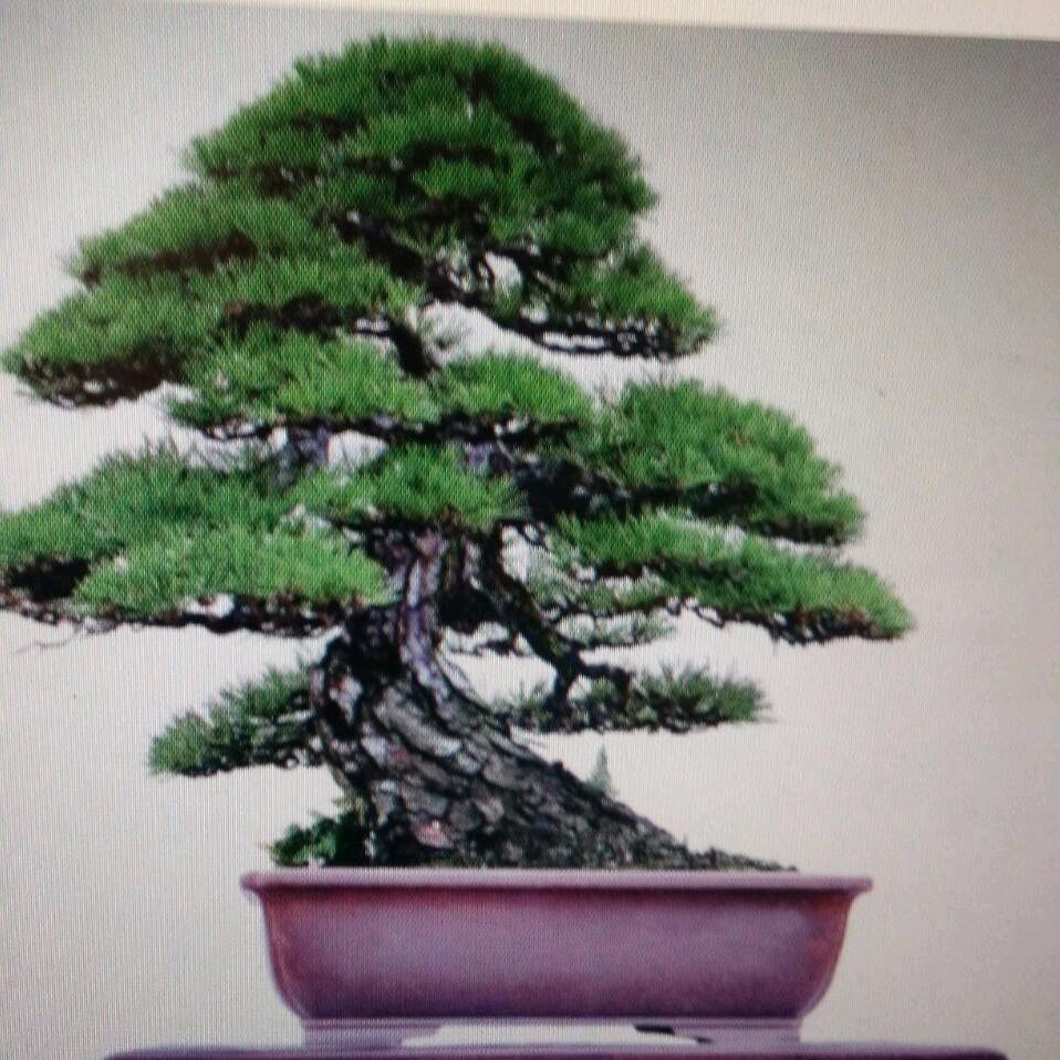 欢喜就好，谢艺杰