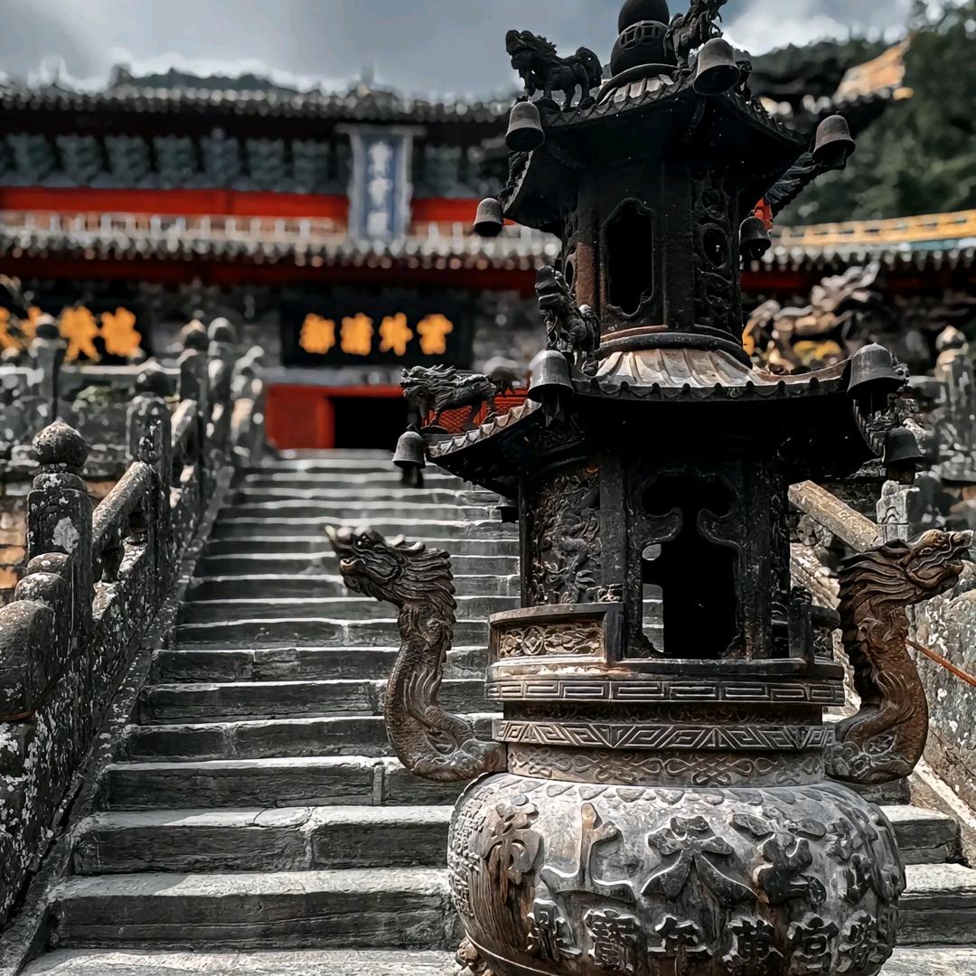 商道高手拿破仑
