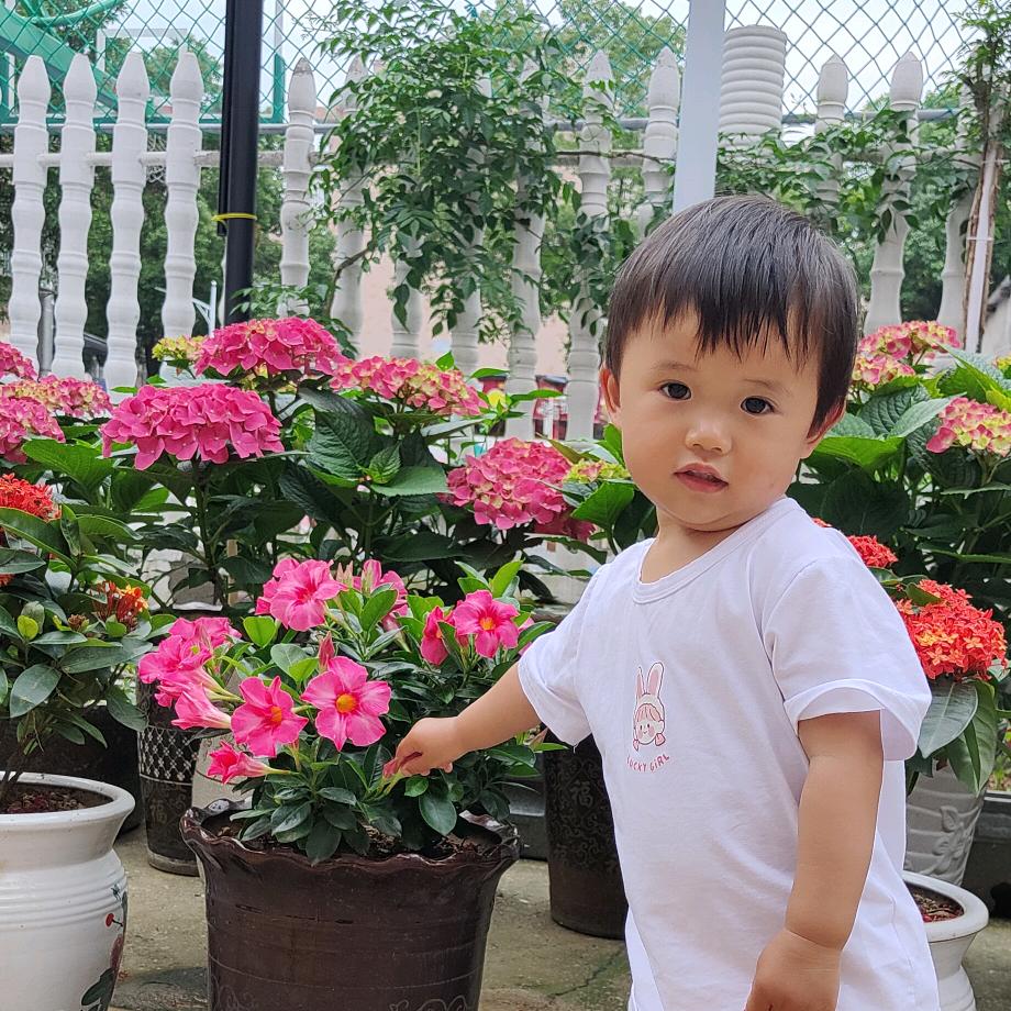 梦瑶妈咪