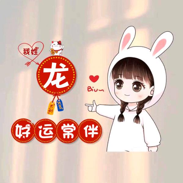 龙姐