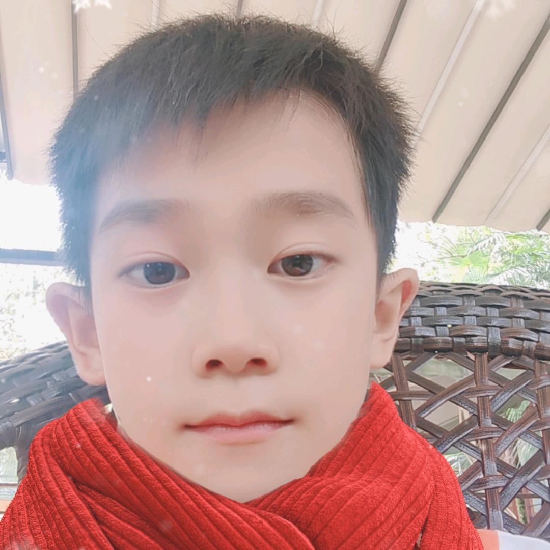 可乐主播是只猫