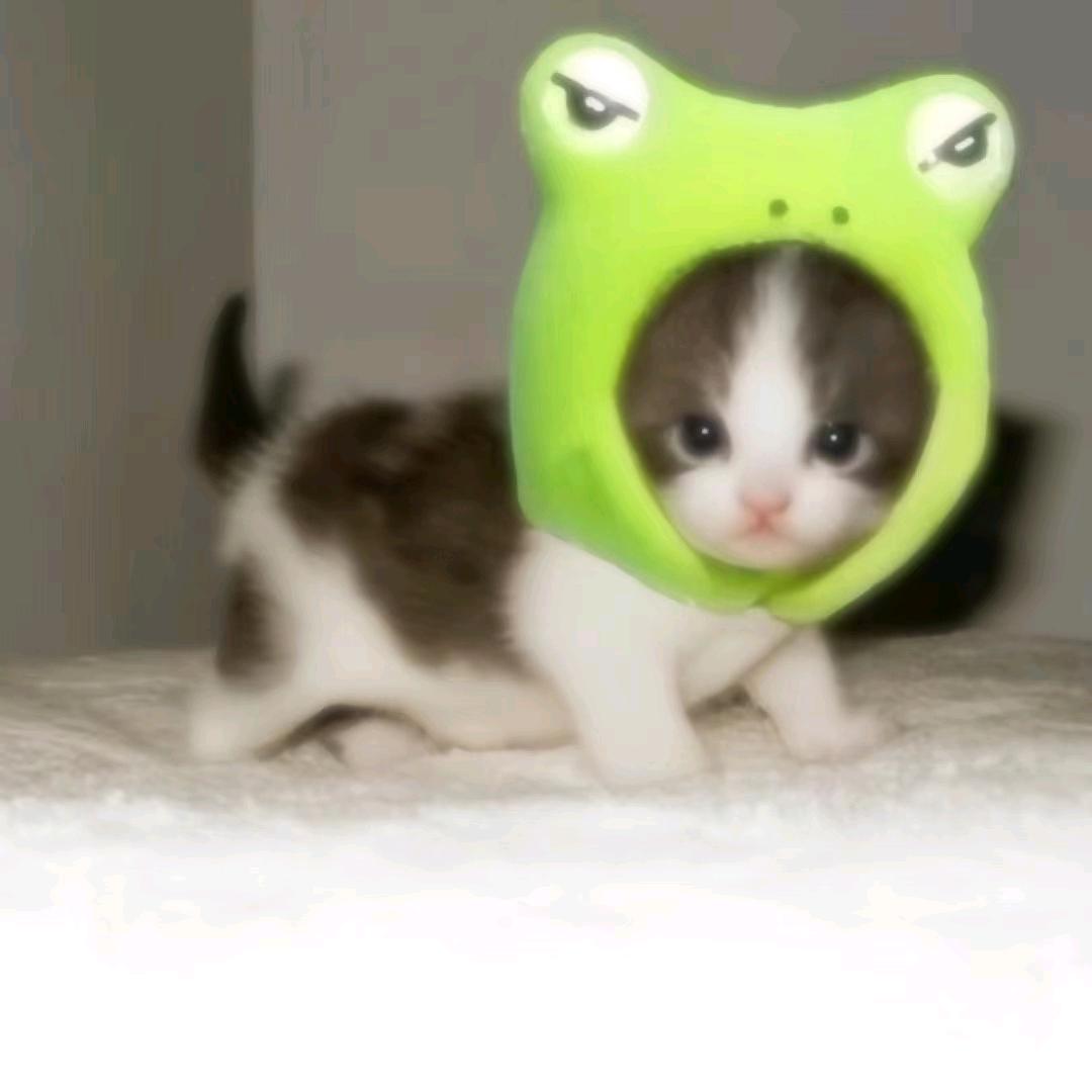 AAA蜡笔小c