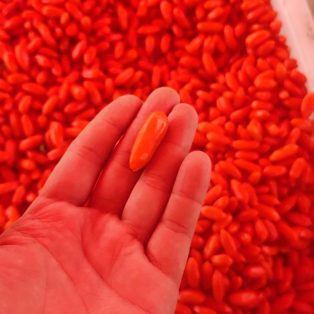 恩和红珍企业店