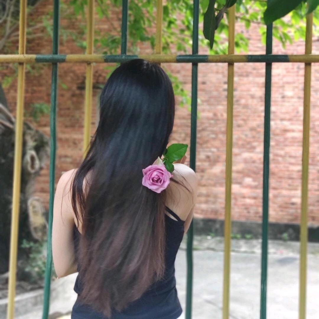 优雅的小刺猬🦔头像