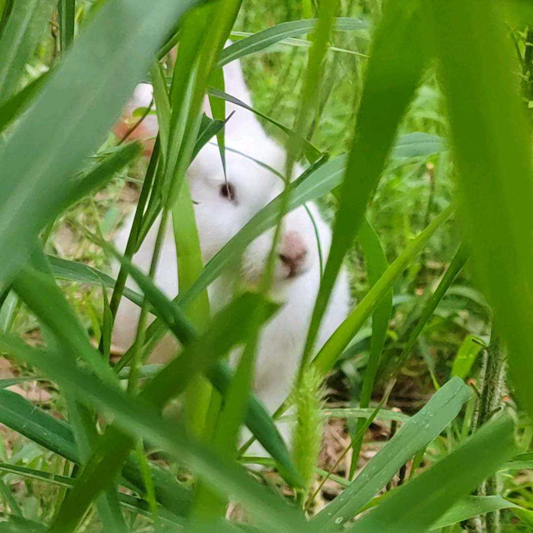 小白要努力