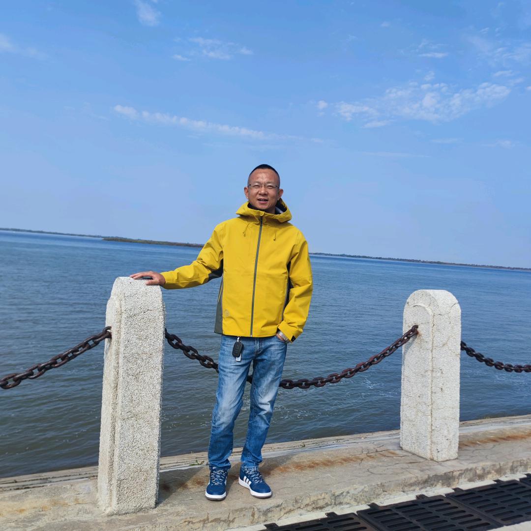 落叶终成伤