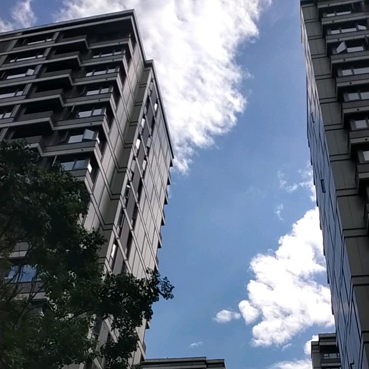 平哥
