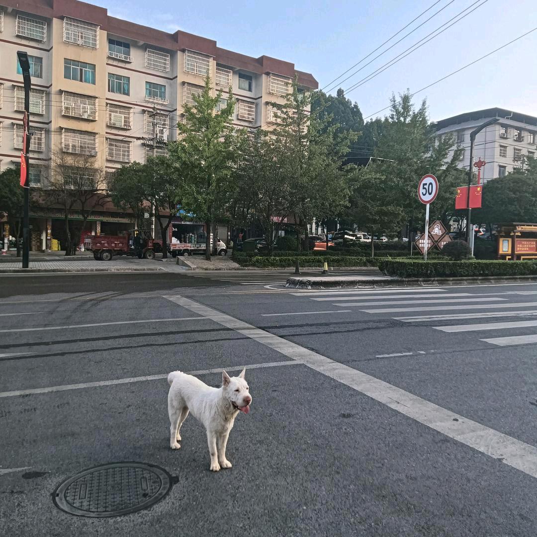跑摩托车
