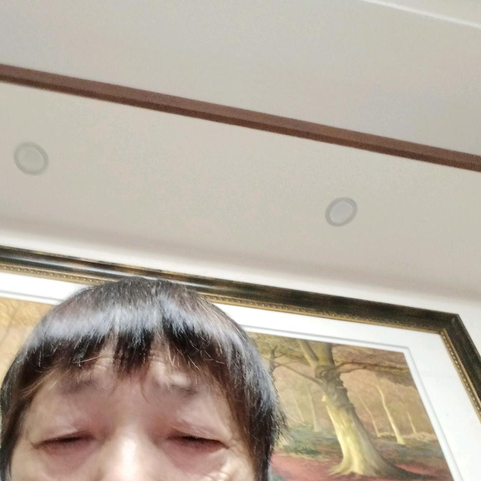 甘a