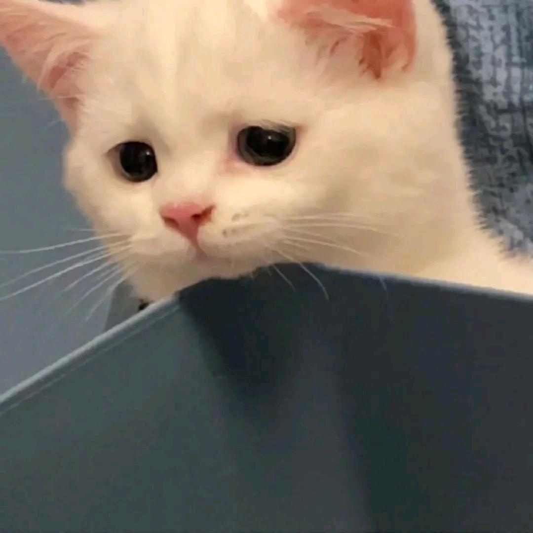 Likm