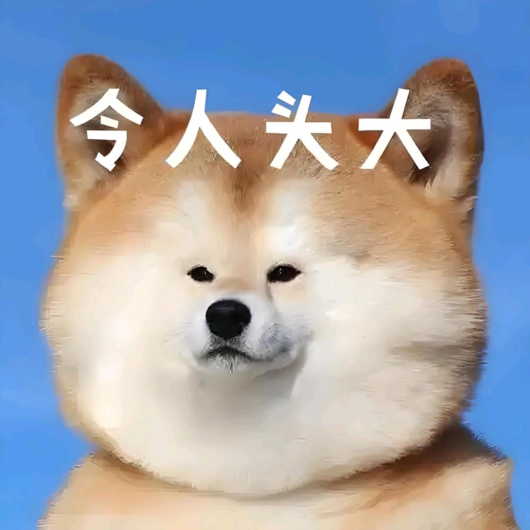 ✨富贵不想熬夜