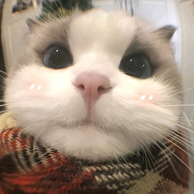 —