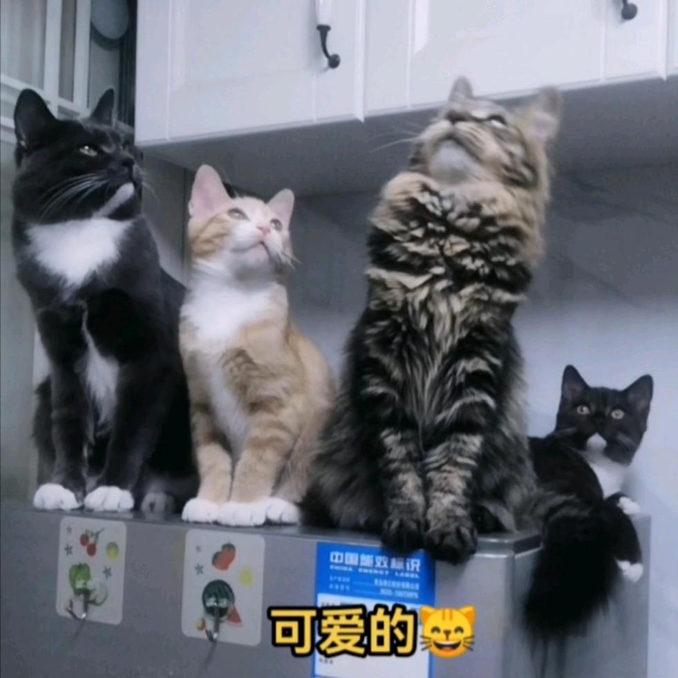 小雨点