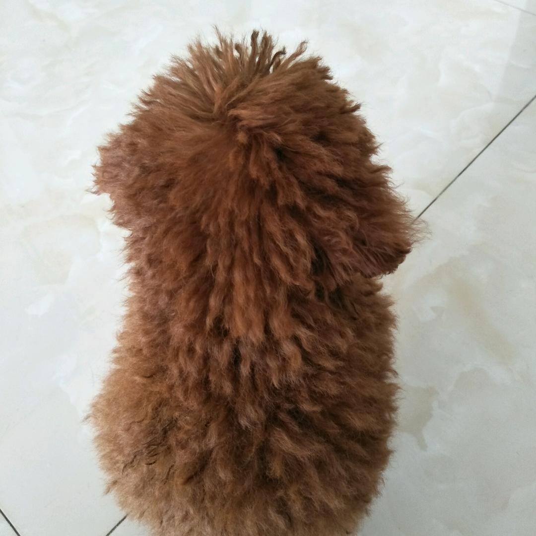 非非