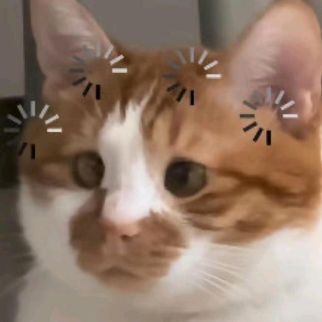 音知