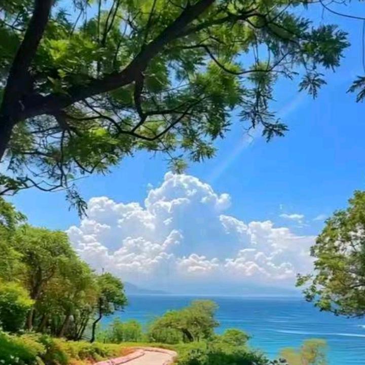 自律还能自由