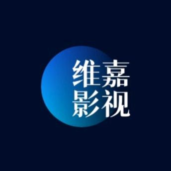 维嘉影视